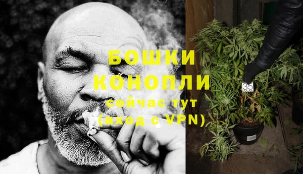 МДПВ Богородицк