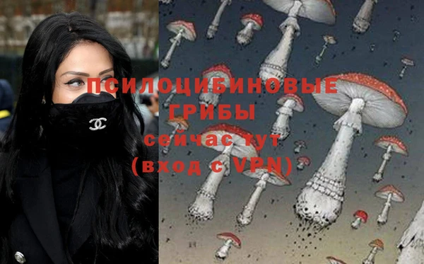 молекула духа Баксан