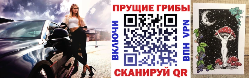 omg зеркало  Гатчина  Галлюциногенные грибы Psilocybine cubensis 