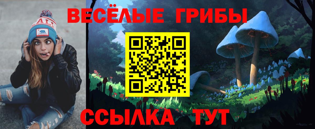 Псилоцибиновые грибы мухоморы Гатчина