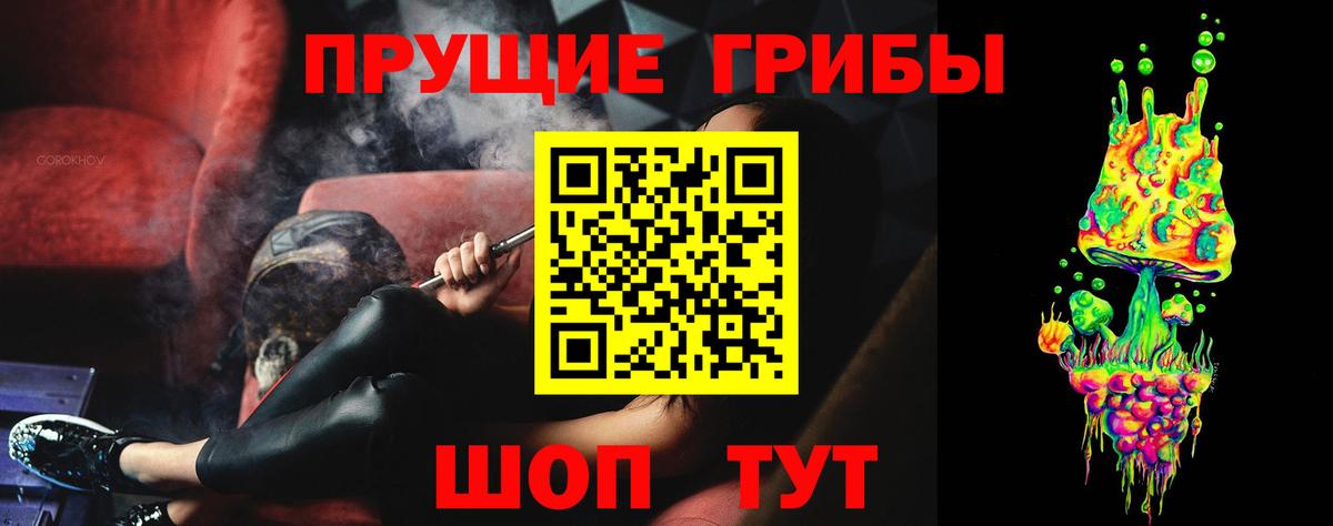 Псилоцибиновые грибы Magic Shrooms  Вход с VPN  Гатчина 