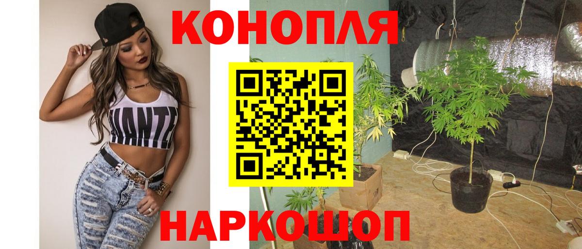 Каннабис Bruce Banner Гатчина